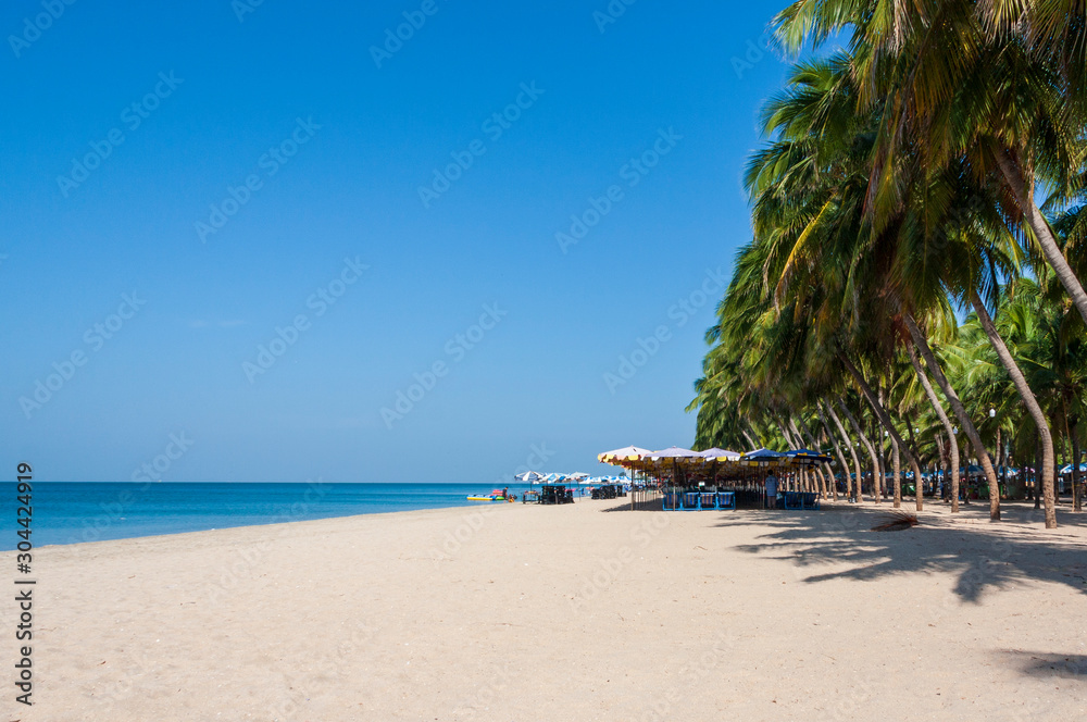 Beautiful sandy beach with row of coconut trees, colorful beach umbrellas,and beach chairs