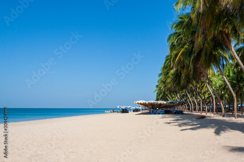 Beautiful sandy beach with row of coconut trees  colorful beach umbrellas and beach chairs