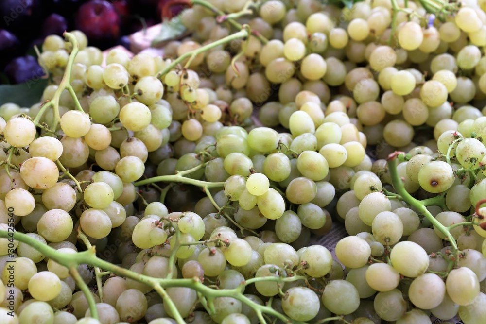 closeup of grapes on display at the market closeup of grapes on display at the market