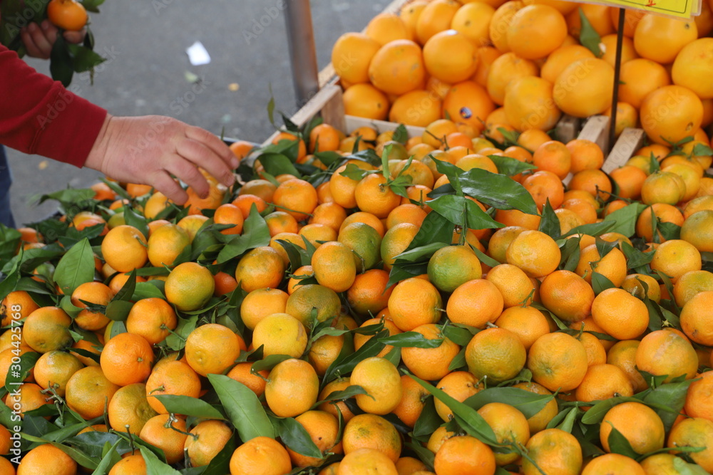 closeup of a hand taking a mandarin from a market stall