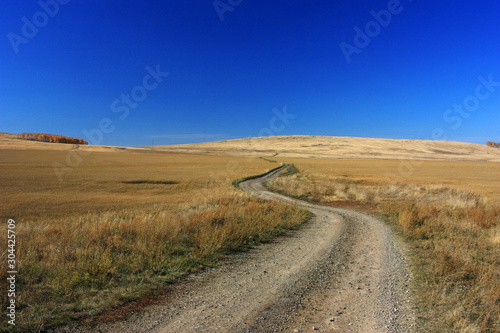 Autumn country road in the steppe