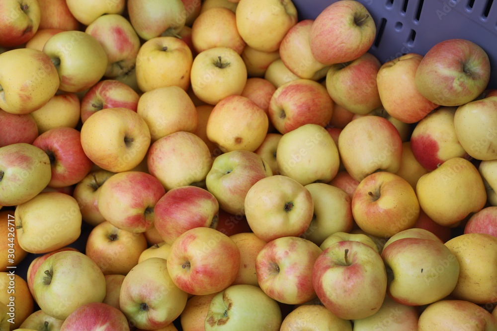 closeup of apples exposed to the market closeup of apples exposed to the market