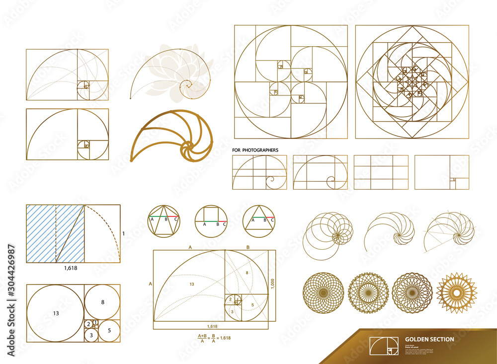 custom made wallpaper toronto digitalGolden ratio for creative design vector illustration.