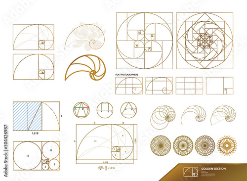 Golden ratio for creative design vector illustration. photo