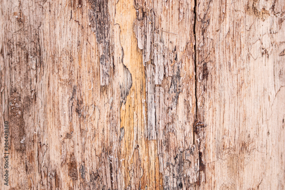 old rough cracked wood texture background
