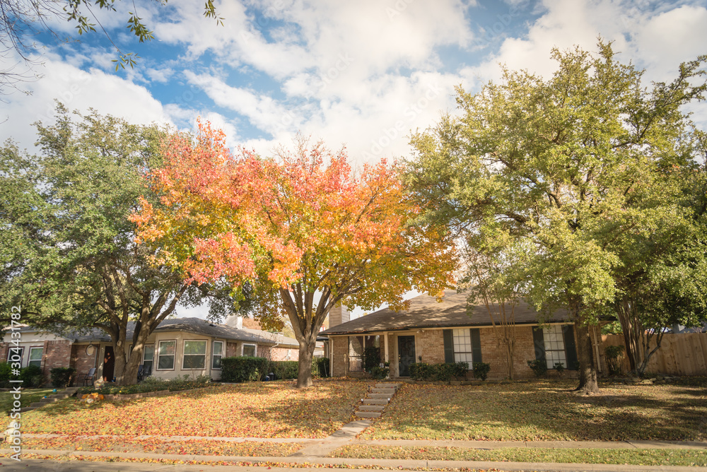 Beautiful front yard of typical single family houses near Dallas in fall season colorful leaves