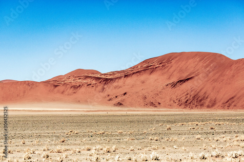 Deadvlei in Namib-Naukluft national park Sossusvlei in Namibia  Africa