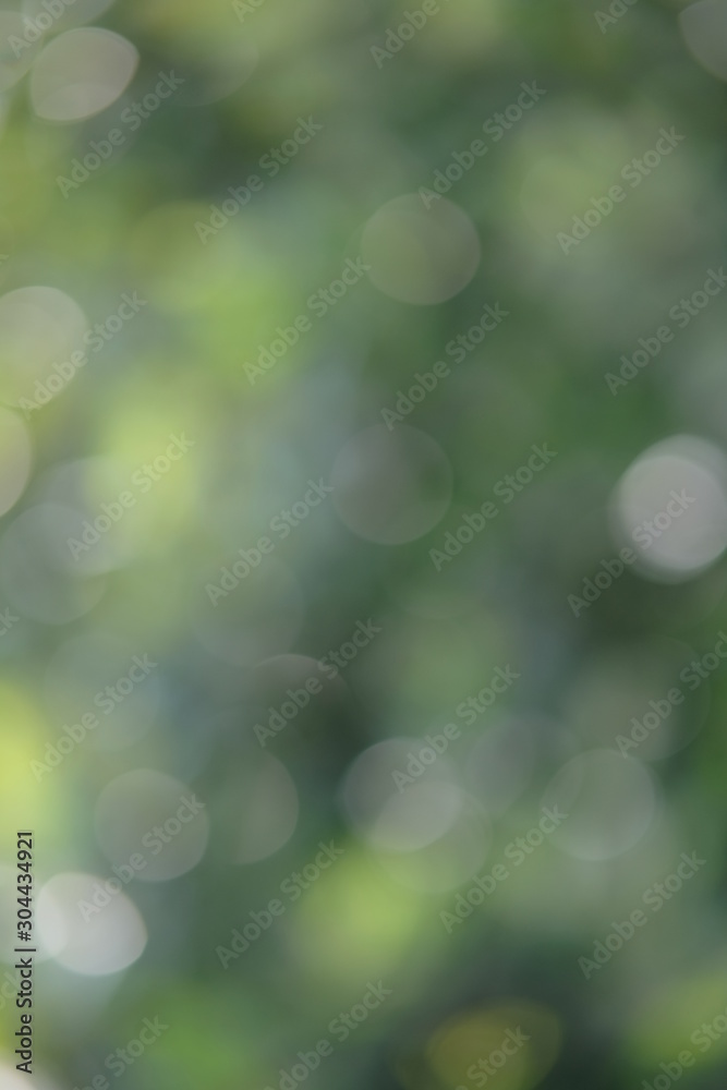 abstract green background with bokeh abstract green background with bokeh