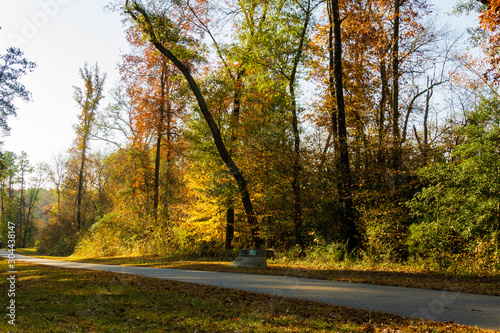 Autumn scene along a bicycle trail illuminated by early morning light.