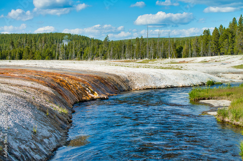 River and trees of Yellowstone National Park in summer, Wyoming