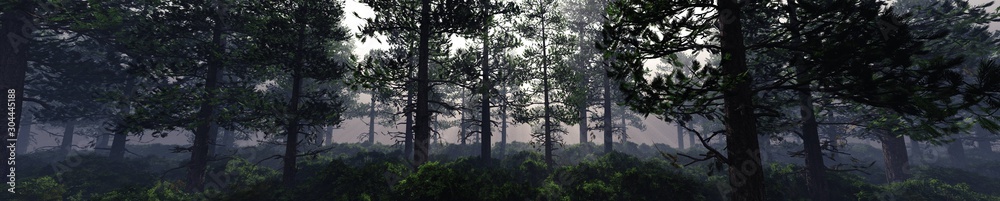 Trees in the fog. The smoke in the forest in the morning. A misty morning among the trees. 3D rendering Trees in the fog. The smoke in the forest in the morning. A misty morning among the trees. 3D rendering