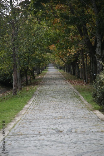 Ataturk Arboretum Botanic Park in Istanbul