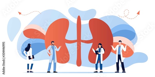 Kidney healthcare, doing medical research.urology and nephrology. nephroptosis, renal failure, pyelonephritis, diseases, kidney stones, cystitis. For website, app, banner, flyer with doctor