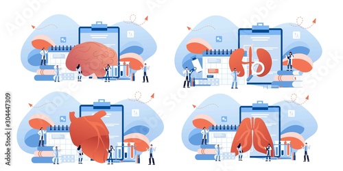 Doctor and human internal organ set. Anatomy concept. Kidney, lungs, heart and brain. Therapist make diagnosis. anatomical and medical inner organs disease treatment. Pharmacy research system