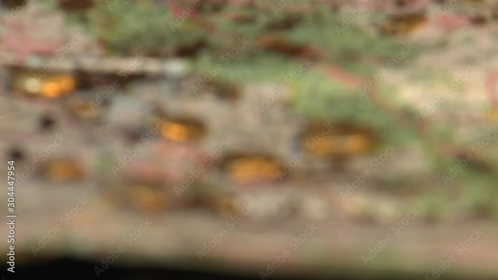 Close-up focus defocus of Gold nuggets spread all over on a map with a compass. Alberta, Canada. 60fps Close-up focus defocus of Gold nuggets spread all over on a map with a compass. Alberta, Canada. 60fps