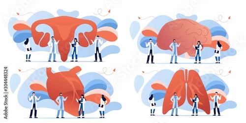 Doctor and human internal organ set. Anatomy concept. Brain, heart, lungs and uterus, womb. Therapist make diagnosis. anatomical and medical inner organs disease treatment. Pharmacy research system