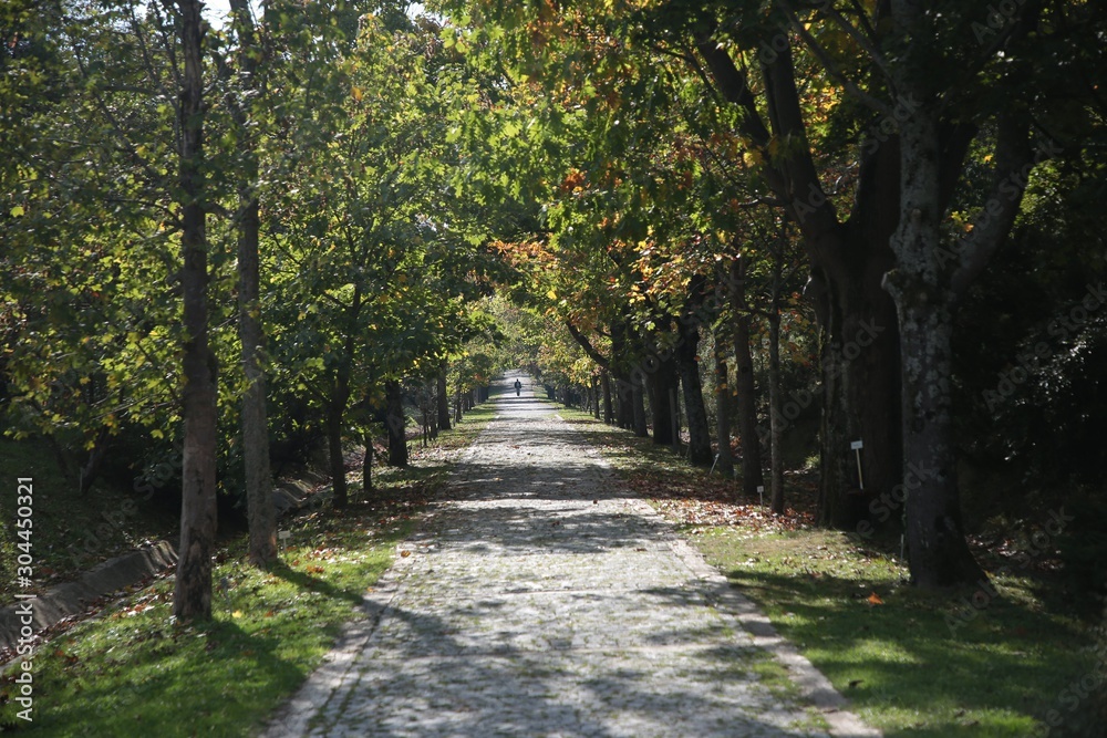 Ataturk Arboretum Botanic Park in Istanbul Ataturk Arboretum Botanic Park in Istanbul