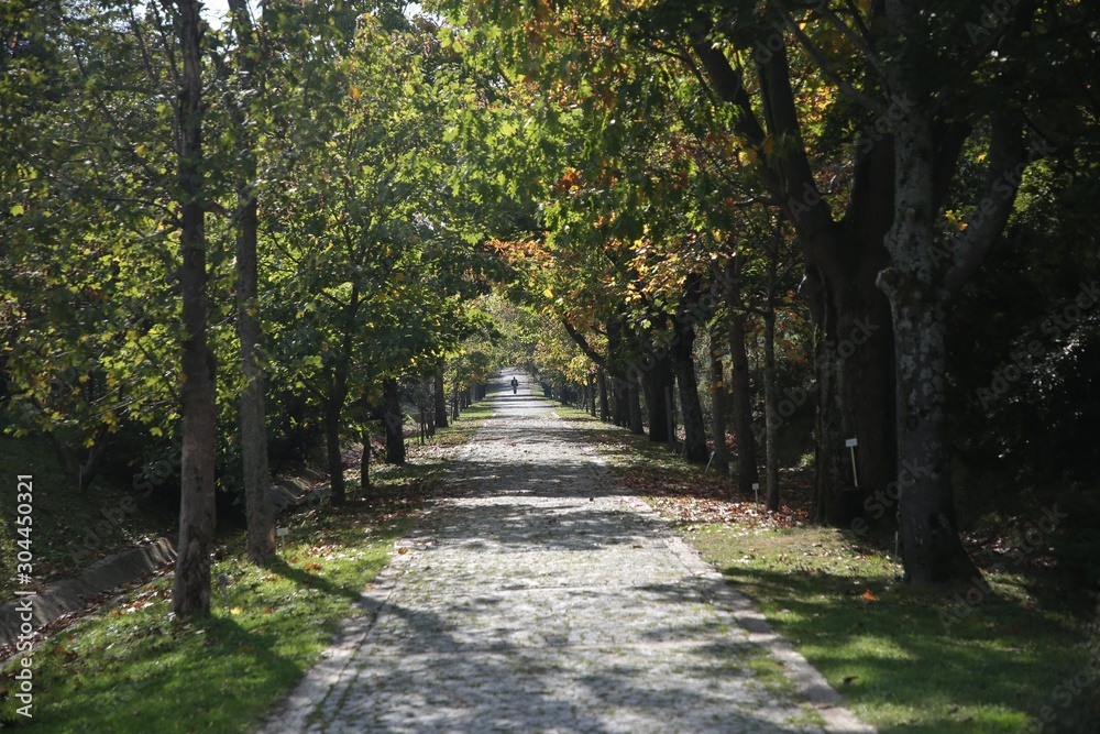 Ataturk Arboretum Botanic Park in Istanbul