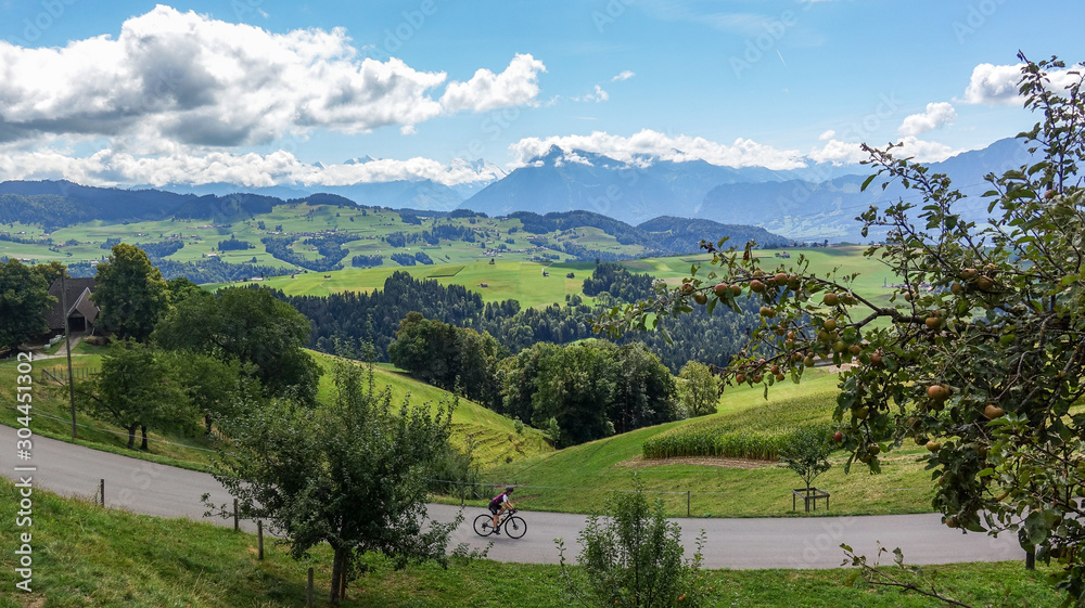 Cyclist int the beautiful Swiss Alps in the summer
