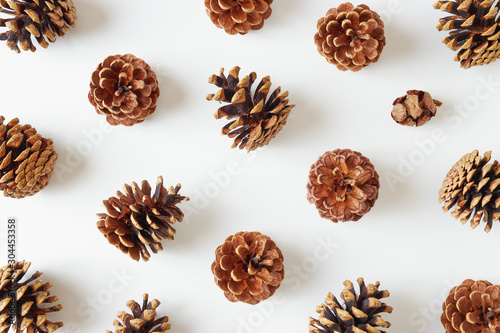 Pine cones over white background.