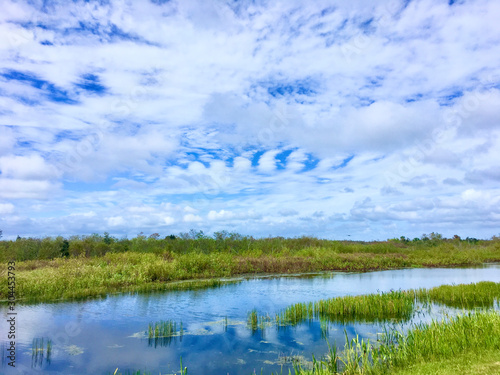 Louisiana cypress swamp and river © Jaimie Tuchman