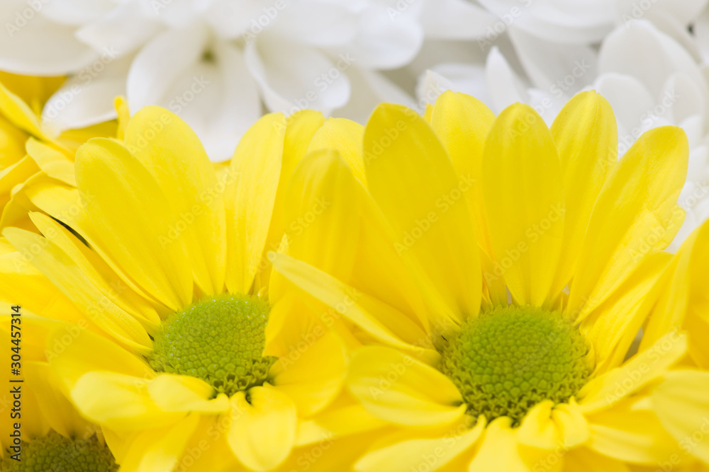 spring big bouquet of yellow and white flowers spring big bouquet of yellow and white flowers