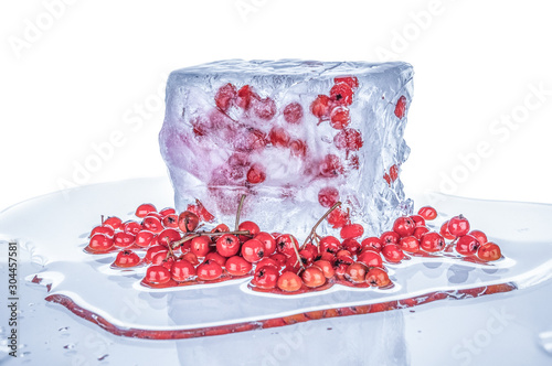 Heap ashberries and ashberries frozen in ice cube on white background photo