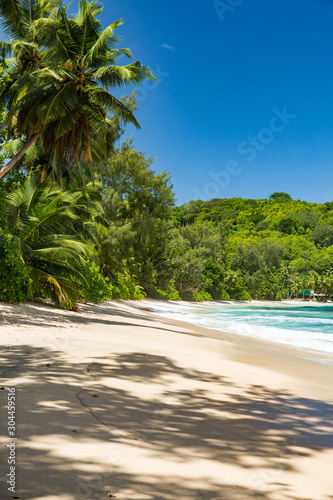 paradise beach in seychelles