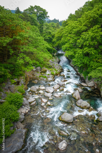 Kanmangafuchi abyss, Nikko, Japan