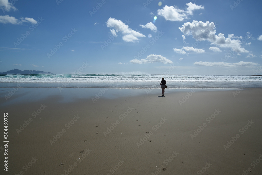 Naklejka premium beaches of new zealand