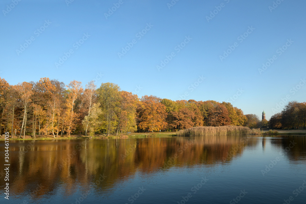 volkspark jungfernheide