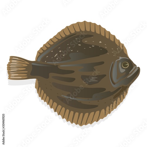 Fotografie, Tablou Plaice or flatfish, flounder which has dark brown skin on one side and white on the other
