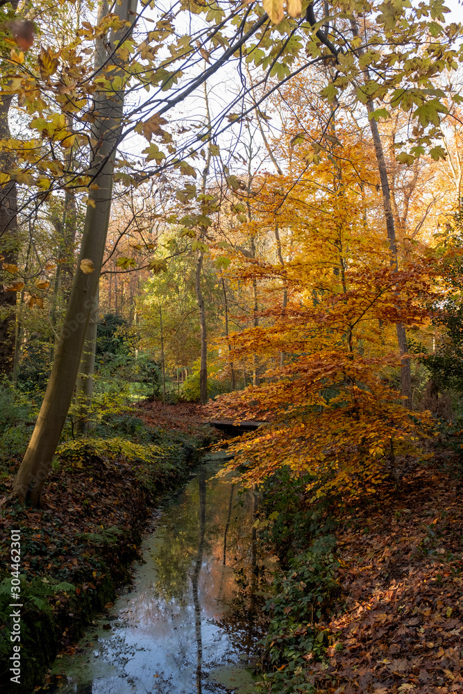 Ditch through a forest with overhanging branches with leaves in autumn colors
