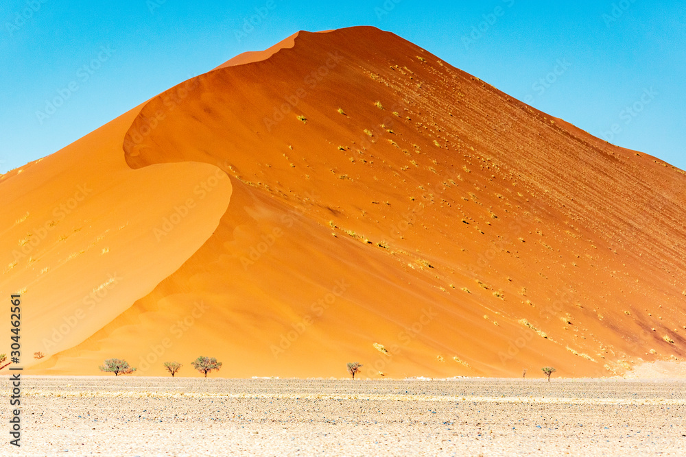 the dune 45 in Namibia, Africa