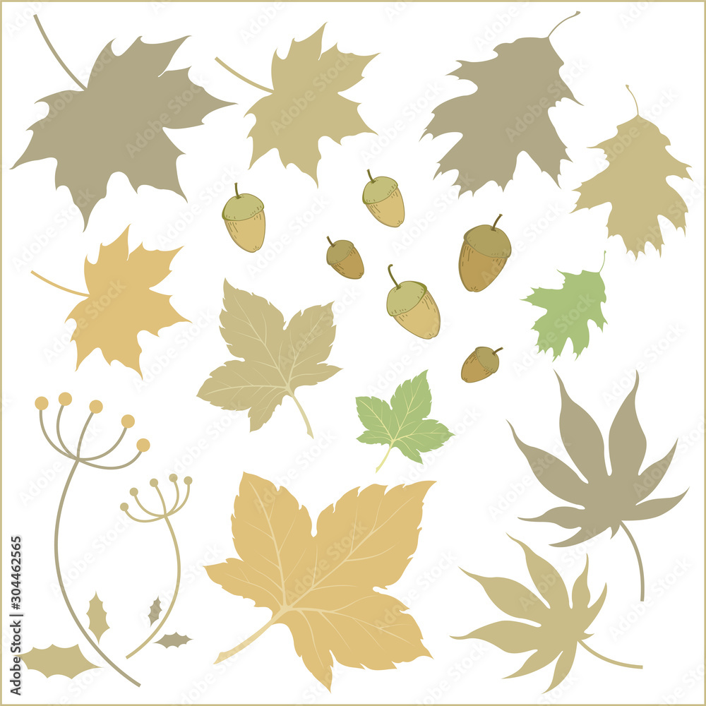 Obraz premium Autumn-Winter-Fall Plant