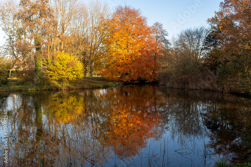Trees in fall colors on the edge of a pond with reflections in the water