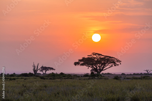 sunset in africa