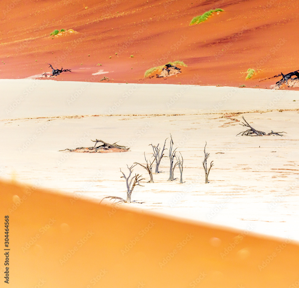 Obraz premium Dead acacias in sossusvlei, Namibia, Africa