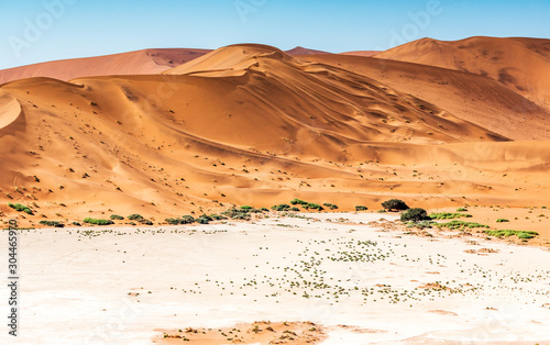 Deadvlei in Namib-Naukluft national park Sossusvlei in Namibia  Africa