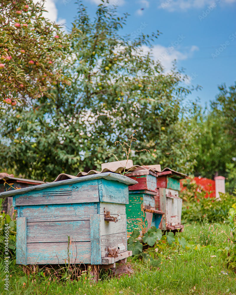 Group of wooden beehives in the garden. Group of wooden beehives in the garden.