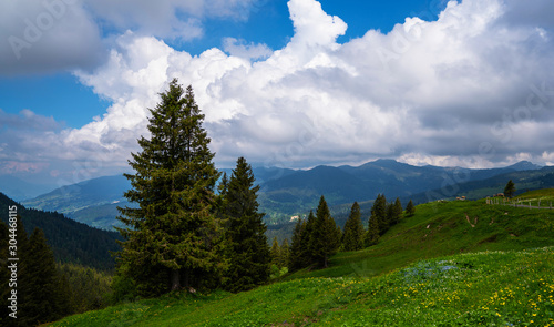 Panoramic view of idyllic mountain scenery in the Alps with fresh green meadows in bloom on a beautiful sunny day in springtime. Location place Swiss alps, Europe. Beauty world.