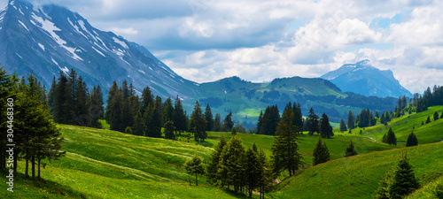 Idyllic alpine landscape scenery with fresh green meadows, blooming flowers, and snowcapped mountain tops in spring.