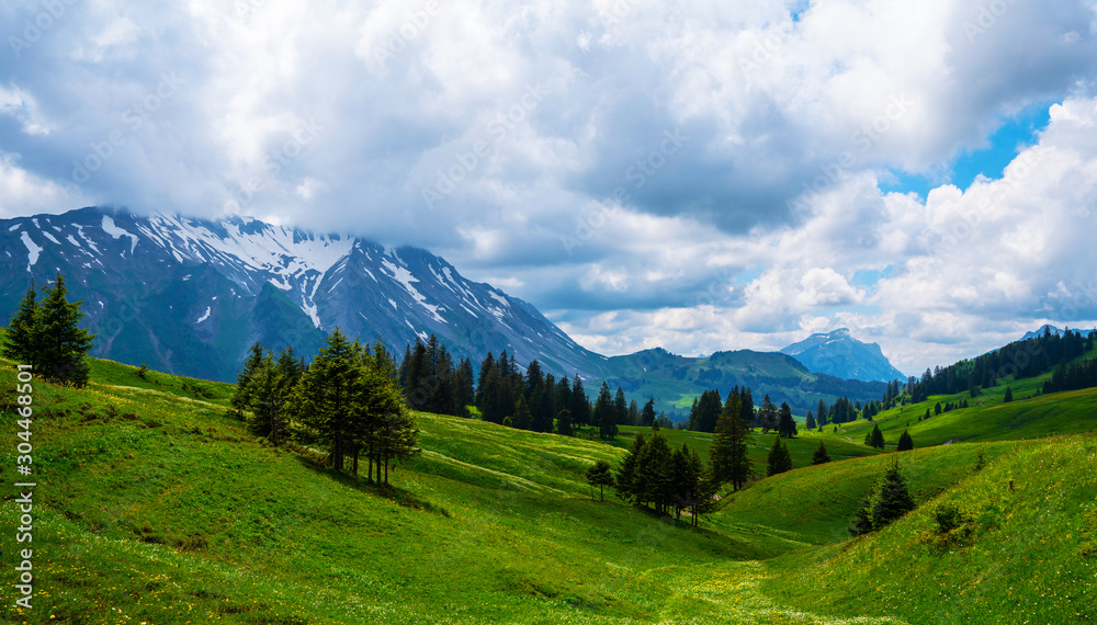 Idyllic alpine landscape scenery with fresh green meadows, blooming flowers, and snowcapped mountain tops in spring.