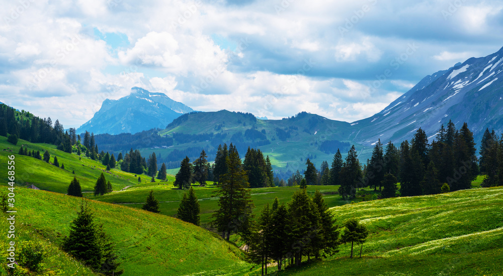 Idyllic alpine landscape scenery with fresh green meadows, blooming flowers, and snowcapped mountain tops in spring.