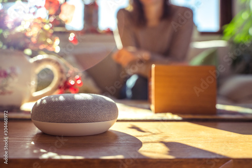 voice controlled smart speaker with a woman in the background in a interior home environment. Smart AI speaker concept  © David Ferencik