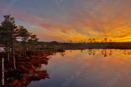 Orange colored sunset sky in the autumn bog