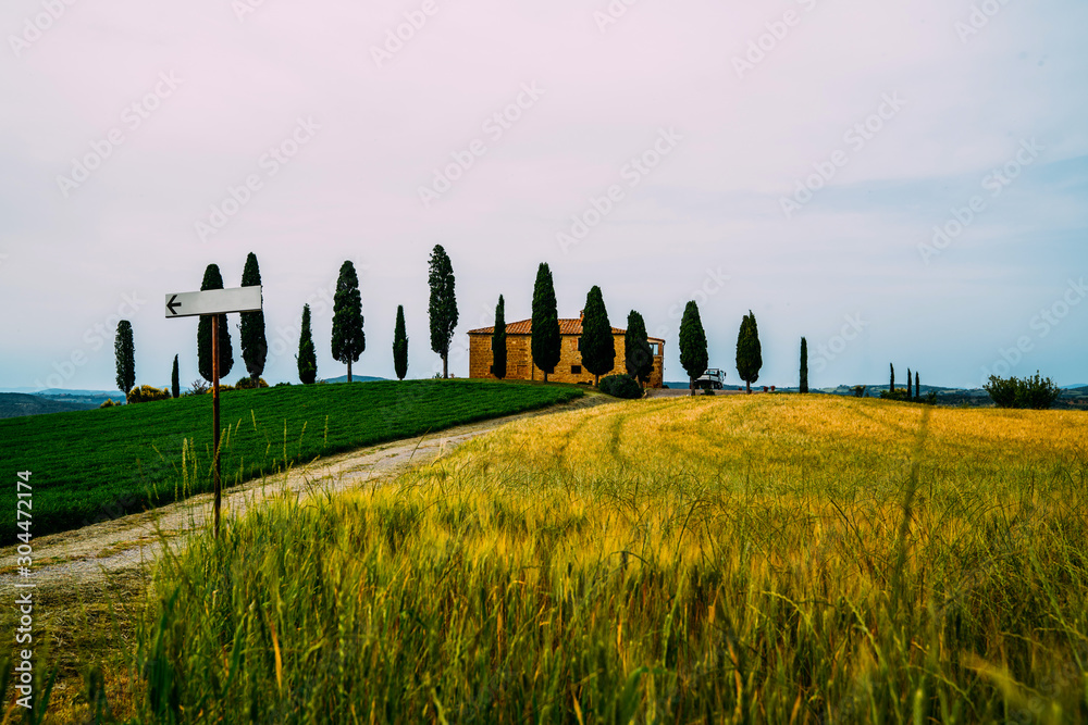 Tuscany, rural sunset landscape. Cypress trees, green and golden fields, sun light and cloud. Italy, Europe. Vintage tone filter effect with noise and grain.