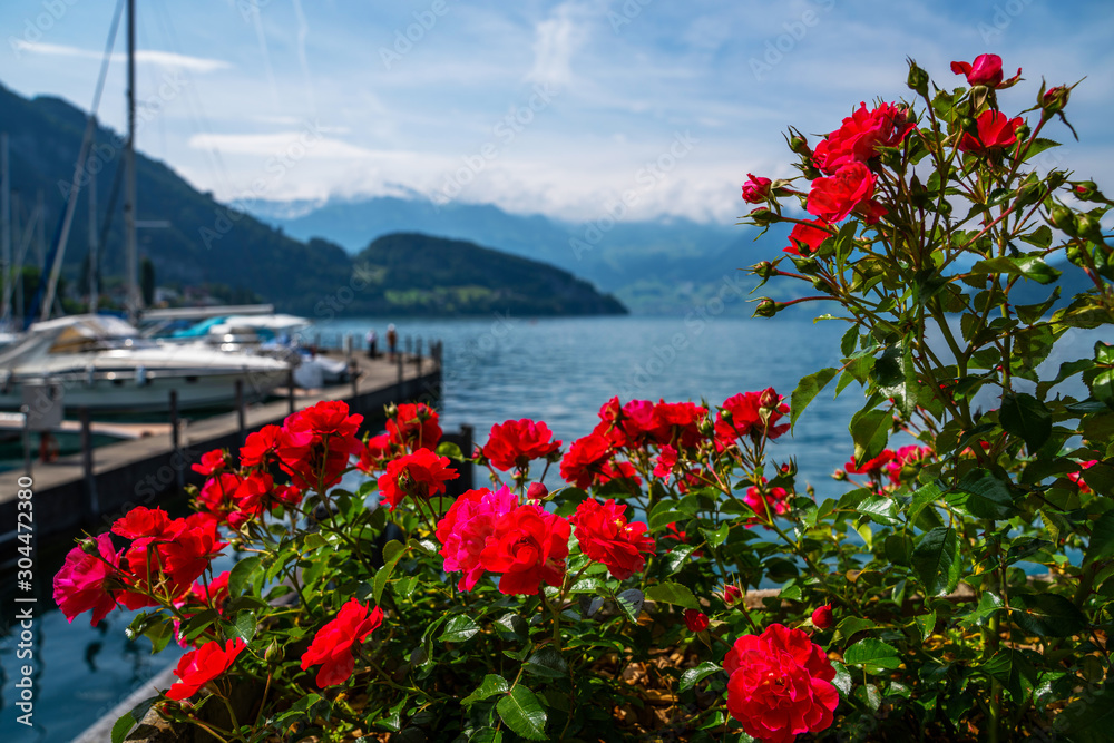 Lake and yachts on the mountains background. Flowers in the foreground. Canton of Lucerne, Switzerland. Lake and yachts on the mountains background. Flowers in the foreground. Canton of Lucerne, Switzerland.
