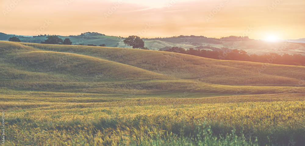 Tuscany, rural sunset landscape. Sun light and clouds. Siena province, Tuscany, Italy, Europe. Golden autumn. Countryside, green and gold fields. Vintage tone filter effect with noise and grain.