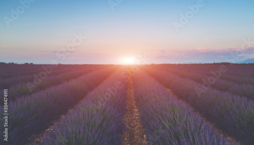 Sunset over a violet lavender field in Provence. Majestic colorful fields near Valensole touristic village, Provence region, France, Europe. Tourism or vacation travel concept. Flower background.